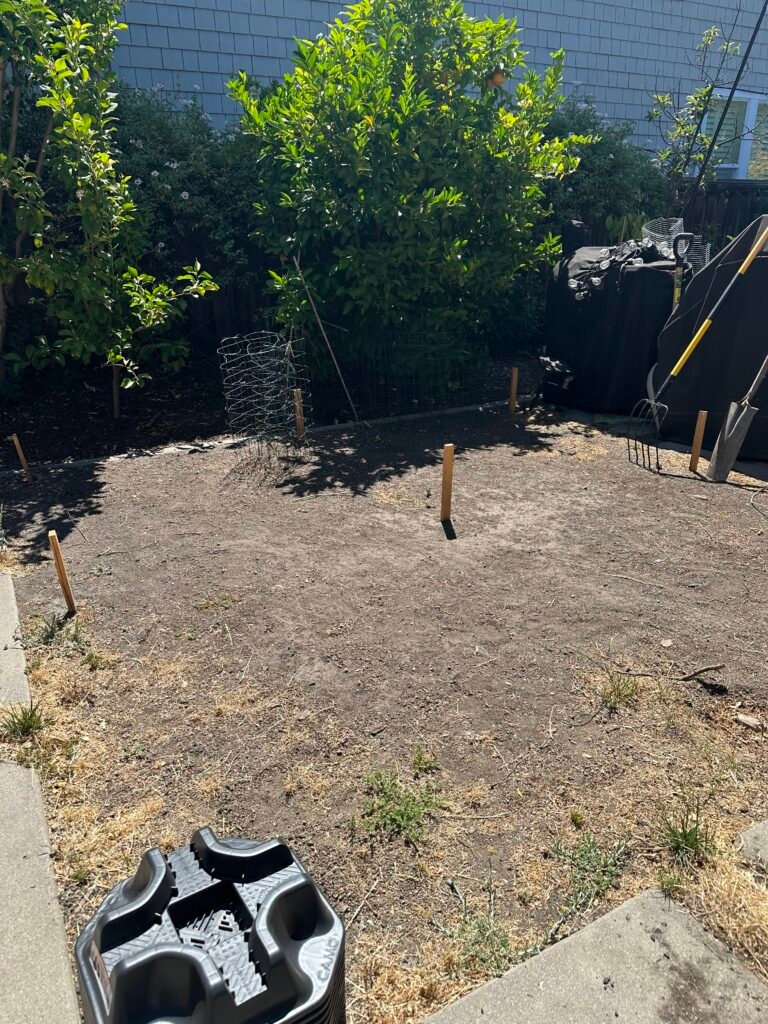 A blank slate to build a beautiful deck with a greenhouse on top of it all while rat proofing